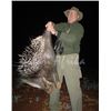 Image 5 : 10 Day South African Night Hunt for Two Hunters