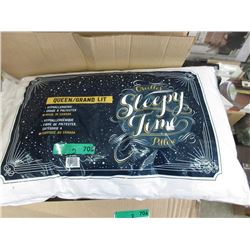 2 New Queen Size Hypo-Allergenic Polyester Pillows