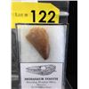 Image 1 : 65-70 Million Year Old Mosasaur Tooth from Morocco