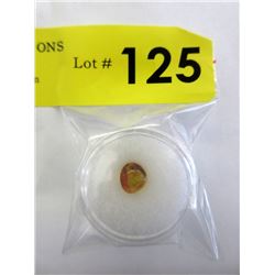 1 CT  Loose Baltic Amber with Insect Inclusion