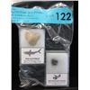 Image 1 : 25 Million Year Old Shark Tooth & Dinosaur Tooth
