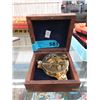 Image 1 : West London Brass Compass in Wood Display Box