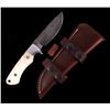 Image 1 : CFK Damascus Exotic Camel Bone Inlaid Horn Knife