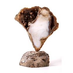 Unique Polished Agatized Coral Geode Display