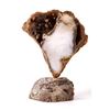 Image 1 : Unique Polished Agatized Coral Geode Display