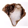 Image 2 : Unique Polished Agatized Coral Geode Display