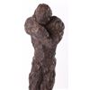 Image 6 : Unique Bronze-Colored Male Figure Nude Sculpture