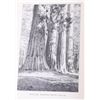 Image 3 : Our National Parks John Muir First Edition 1901