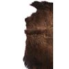 Image 10 : Wild Montana Trophy Buffalo Fur Hide Rug