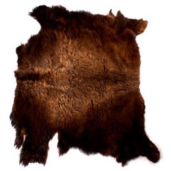 Wild Montana Trophy Buffalo Fur Hide Rug