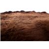 Image 2 : Wild Montana Trophy Buffalo Fur Hide Rug