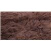 Image 4 : Wild Montana Trophy Buffalo Fur Hide Rug