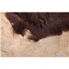 Image 5 : Wild Montana Trophy Buffalo Fur Hide Rug