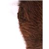 Image 7 : Wild Montana Trophy Buffalo Fur Hide Rug