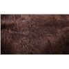 Image 9 : Wild Montana Trophy Buffalo Fur Hide Rug