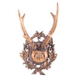 Schloss Eckartsau Ferdinand Roe Deer Mount c.1897