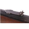 Image 14 : Winchester Model 1894 Lever-Action .30 WCF Carbine