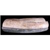 Image 5 : Petrified Ancient Wooly Mammoth Ivory Tusk RARE