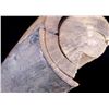 Image 7 : Petrified Ancient Wooly Mammoth Ivory Tusk RARE