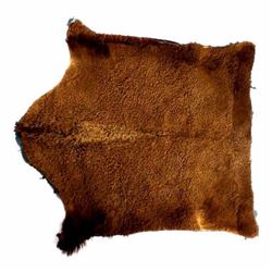 Antique Unique Buffalo Hide Carriage Lap Blanket