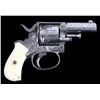 Image 4 : RARE Engraved Western Bulldog Revolver & Holster