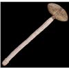 Image 1 : Northern Plains Stone Head War Club c. 1900-1940