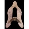 Image 4 : Lt. Col Hagner - E. Waters Civil War Saddle Tree
