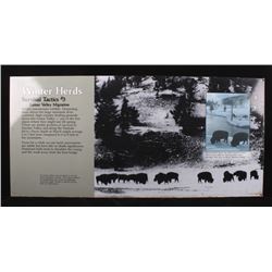 Porcelain Enamel Yellowstone Winter Herd Infograph