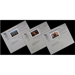 Porcelain Enamel Yellowstone Park Infographs x3