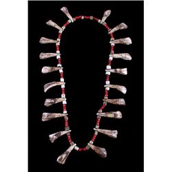 Plains Indian Trade Bead & Buffalo Tooth Necklace