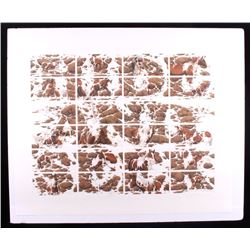 Bev Doolittle Hide and Seek Limited Edition Print