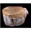 Image 1 : Chippewa Indian Rawhide Drum Large