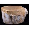 Image 2 : Chippewa Indian Rawhide Drum Large