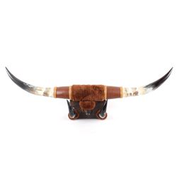 Texas Longhorn Deluxe Custom Wall Mount