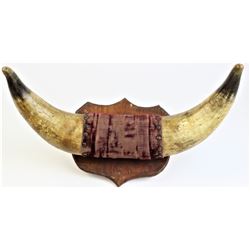 Small set bunkhouse horns