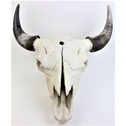 Large bleached buffalo skull