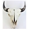 Image 1 : Large bleached buffalo skull