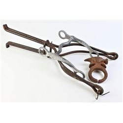 Collection of 3 includes early cow fence