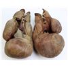 Image 2 : Old pair leather boxing gloves,