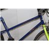 Image 2 : BLUE INTREPID BIKE