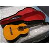 Image 1 : RAVEN ACOUSTIC GUITAR IN HARD CASE