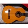 Image 2 : RAVEN ACOUSTIC GUITAR IN HARD CASE