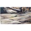 Image 3 : SIGNED FRAMED OIL ON BOARD E MORTIMER