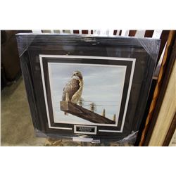 AT THE ROADSIDE RED TAILED HAWK BY ROBERT BATEMAN