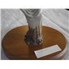 Image 2 : CARVED MOOSE ANTLER