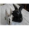 Image 1 : GARGOYLE AND GOAT SKULL