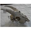 Image 2 : GARGOYLE AND GOAT SKULL