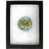 Image 2 : Baja California Evan's Mine Turquoise Cabochon