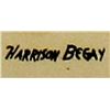 Image 3 : Navajo Harrison Begay Silkscreen Print