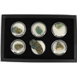 Display Box Featuring 7 Turquoise Nuggets